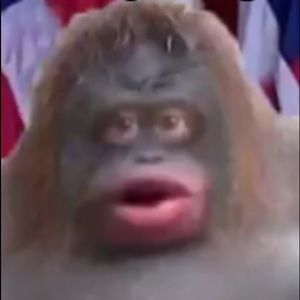 Meet your Posher, Travis